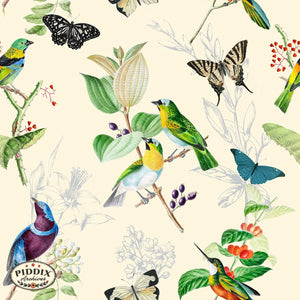 Pdxc21032 Bird And Flowers -- Birds Color Illustration