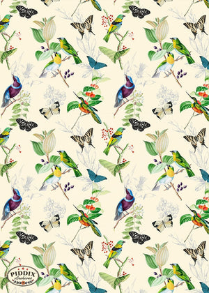 Pdxc21032 Bird Pattern -- Birds Butterflies Flowers Color Illustration