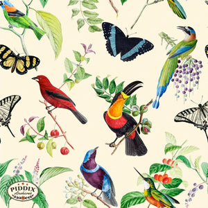 Pdxc21033 Bird And Flowers -- Tropical Birds Butterflies Color Illustration
