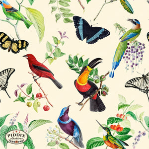 Pdxc21033 Bird And Flowers -- Tropical Birds Butterflies Color Illustration