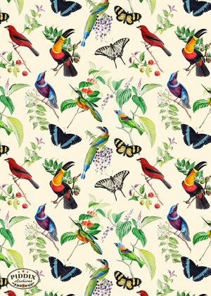 Pdxc21033 Bird Pattern -- Tropical Birds Butterflies Color Illustration