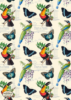 Pdxc21034 Bird Pattern -- Birds Flowers And Butterflies Color Illustration
