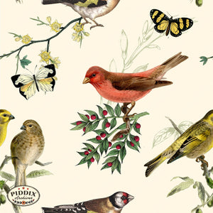Pdxc21035 Bird And Flowers -- Birds Butterflies Color Illustration