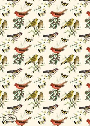 Pdxc21035 Bird Pattern -- Birds Flowers And Butterflies Color Illustration
