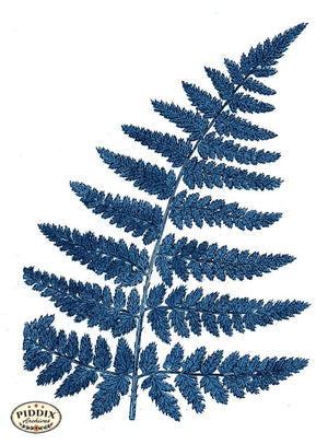 Pdxc21135B -- Fern Frond Blue Color Illustration