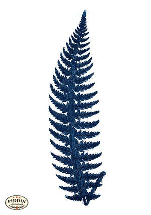 Pdxc21163B -- Fern Frond Color Illustration