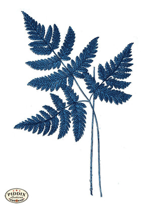 Pdxc21175B -- Fern Fronds Blue Color Illustration