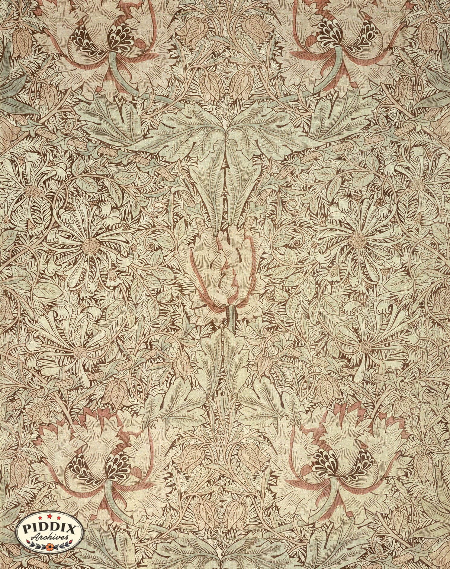 Manchester Patterns PDXC24652b -- Patterns William Morris - piddix