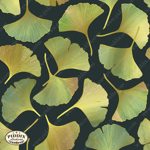Pdxc23647 -- Ginko Leaves Pattern Color Illustration