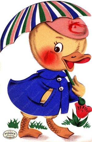 Pdxc24216A -- Duckling In Raincoat With Umbrella Color Illustration