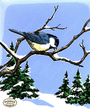 Pdxc24234A -- Christmas Bird In Snowy Tree Color Illustration