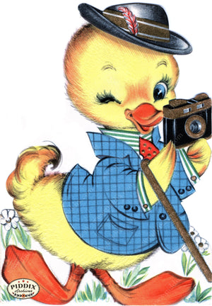 Pdxc24238A -- Duckling In Suit With Camera Color Illustration
