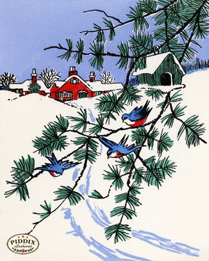 Pdxc24263A -- Christmas Birds In Snow Color Illustration