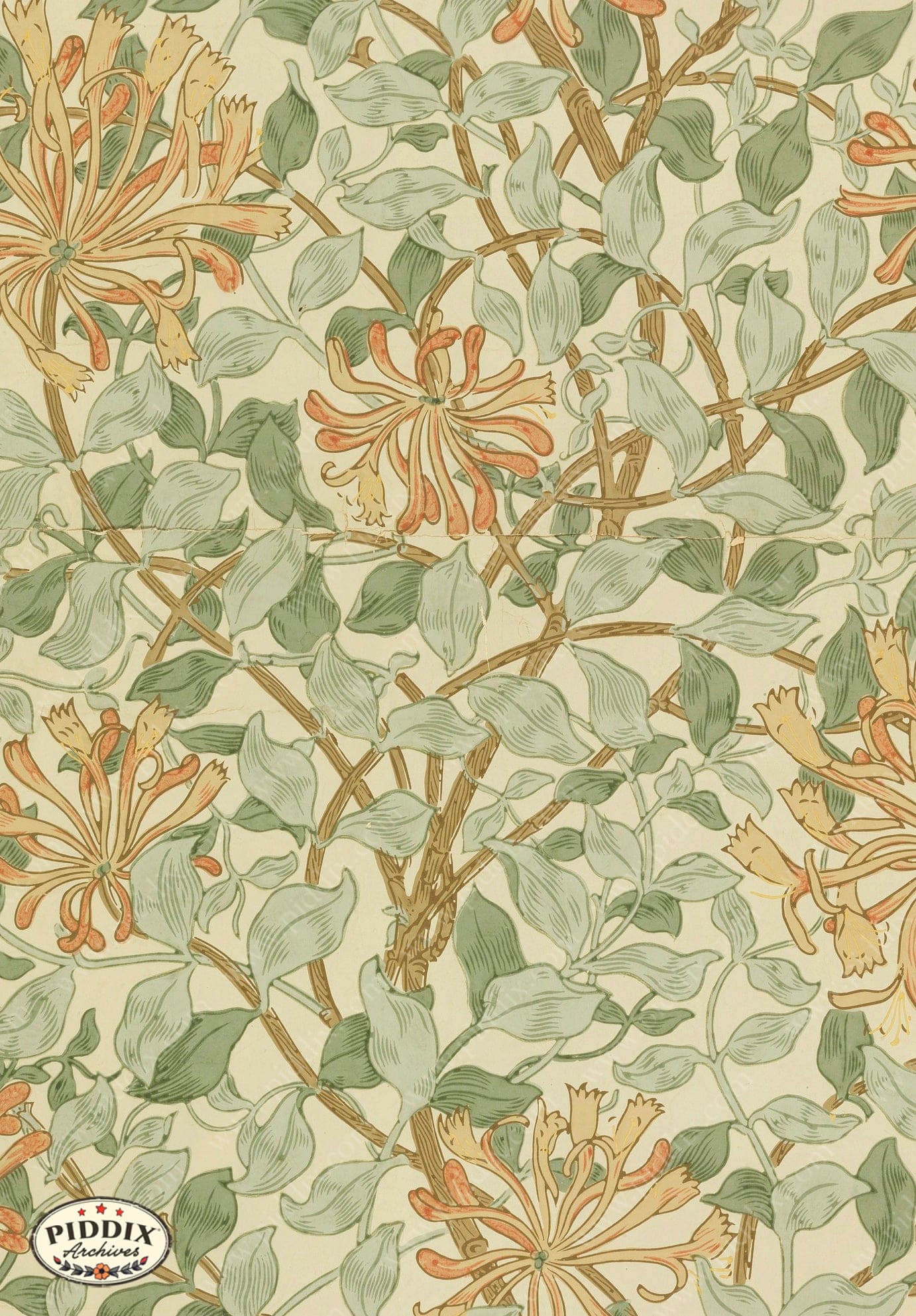 Manchester Patterns PDXC24654c -- Patterns William Morris - piddix