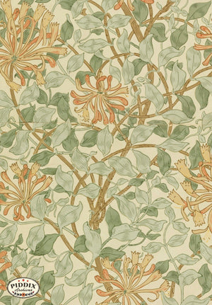 Pdxc24655A -- Patterns William Morris Color Illustration