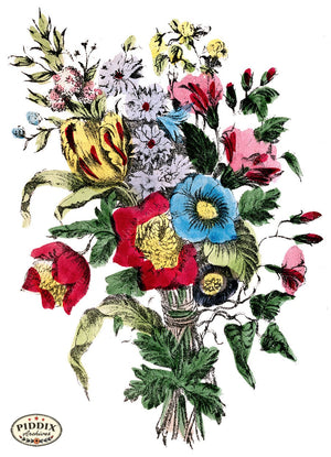 Pdxc4330 -- Flowers Color Illustration