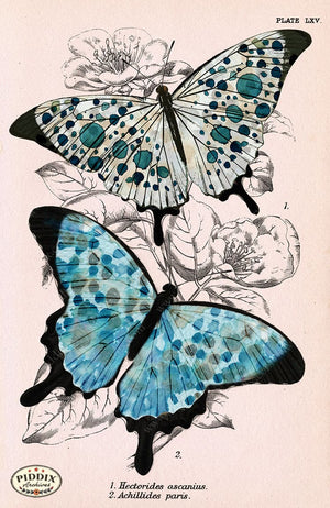 Pdxc4408D -- Blue And Green Butterflies Watercolor Color Illustration