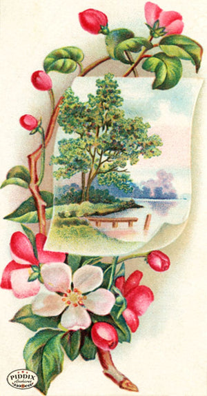 Pdxc7512 -- Roses Color Illustration