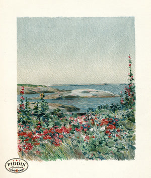 PDXC20307 -- Flowers and Sea