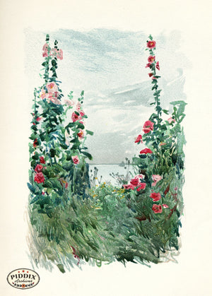 PDXC20310 -- Tall Flowers Sea