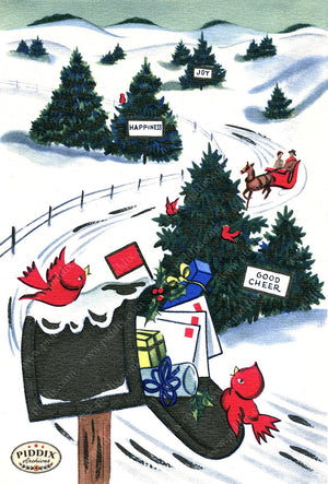 PDXC21589a -- Christmas Mailbox Birds