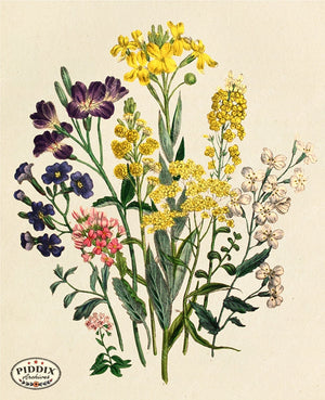 PDXC23566 -- Flower Bouquet Yellow Purple Pink