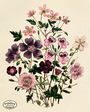 PDXC23571 -- Flower Bouquet Purple Pink
