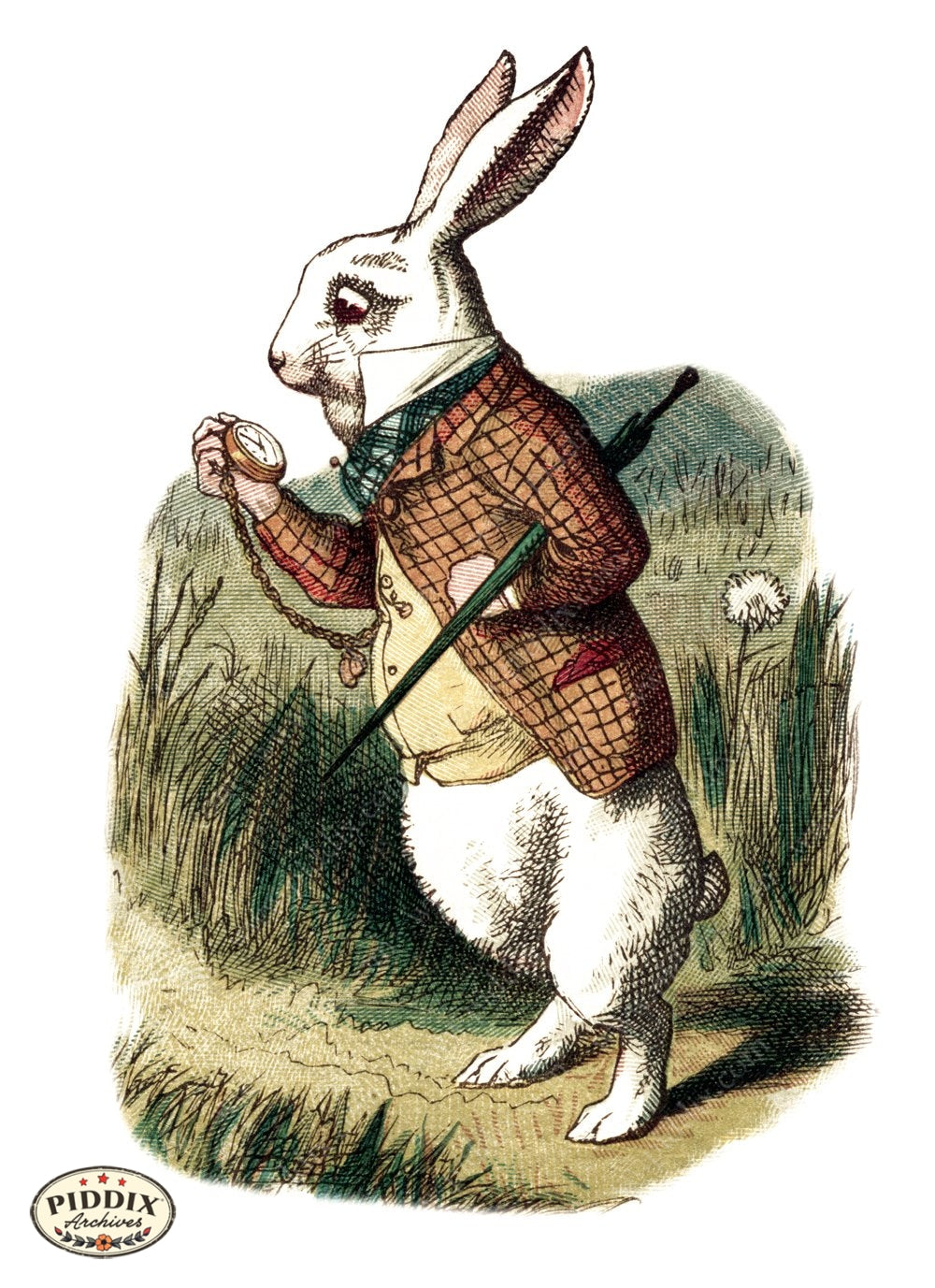 Alice In Wonderland Pdxc1185 Color Illustration