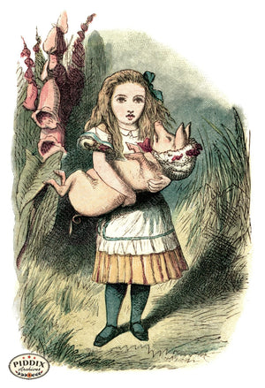 Alice In Wonderland Pdxc1191 Color Illustration