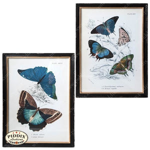 Blue Butterfly Wall Art -- Piddix Licensed Products Licensed Piddix Product