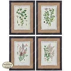 Botanical Print Wall Art -- Piddix Licensed Products Licensed Piddix Product