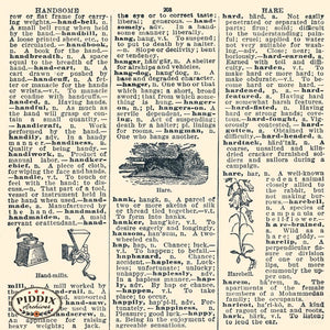 Dictionary Pages Pdxc9117 Book