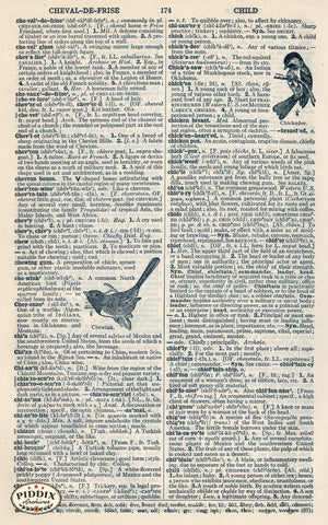 Dictionary Pages Pdxc9118B Book