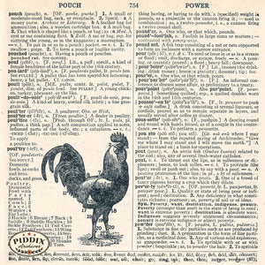 Dictionary Pages Pdxc9122 Book