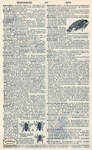 Dictionary Pages Pdxc9125 Book