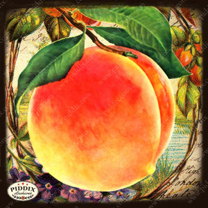 Fruit Pdxc7240 Color Illustration