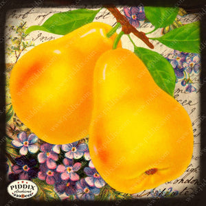 Fruit Pdxc7241 Color Illustration