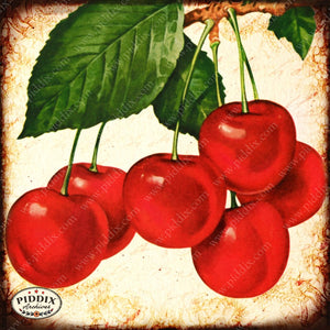Fruit Pdxc7242B Color Illustration