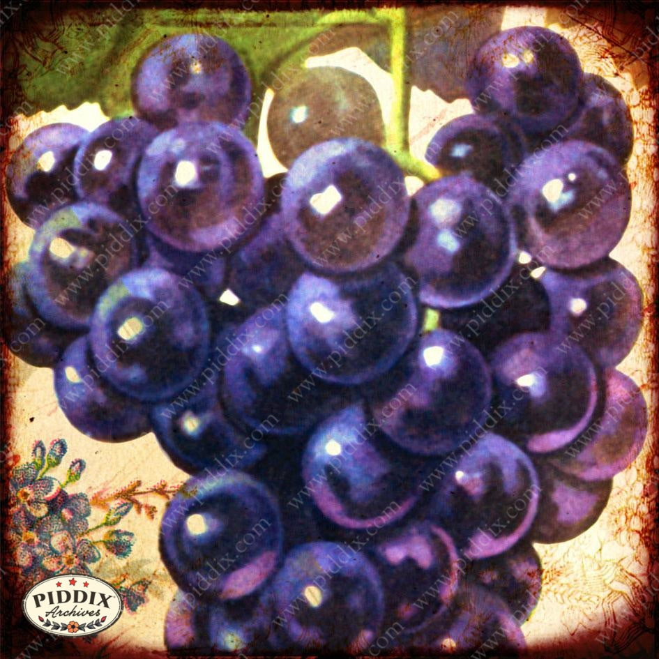 Fruit Pdxc7243 And Pdxc7250 Color Illustration