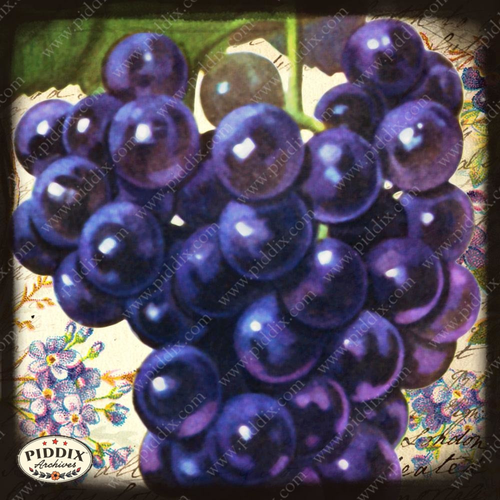 Fruit Pdxc7243 And Pdxc7250 Color Illustration