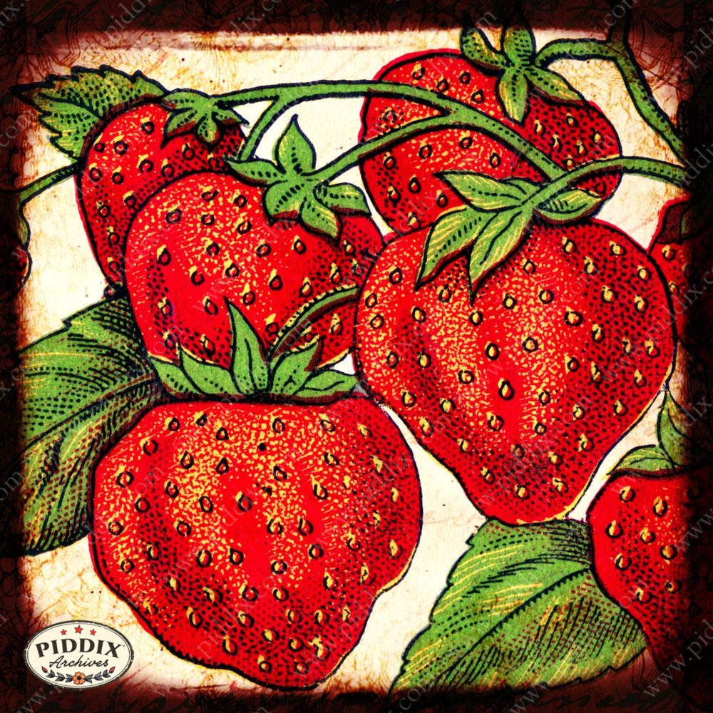 Fruit Pdxc7244 Color Illustration