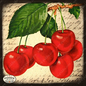 Fruit Pdxc7245 Color Illustration