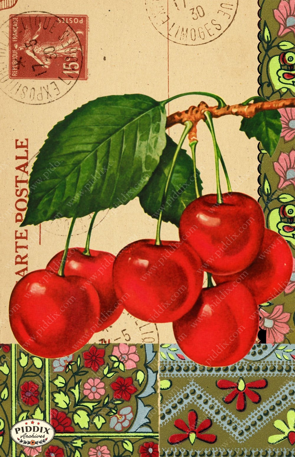 Fruit Pdxc7251 Color Illustration