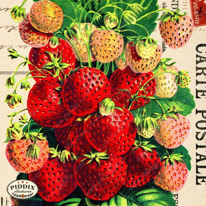 Fruit Pdxc7252 Color Illustration