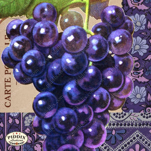 Fruit Pdxc7253 Color Illustration
