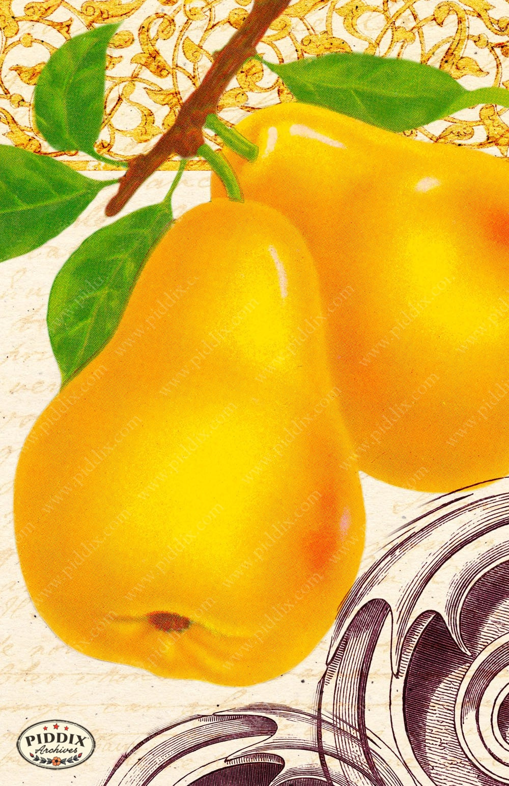 Fruit Pdxc7254 Color Illustration