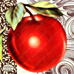 Fruit Pdxc7255 Color Illustration
