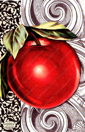 Fruit Pdxc7255 Color Illustration