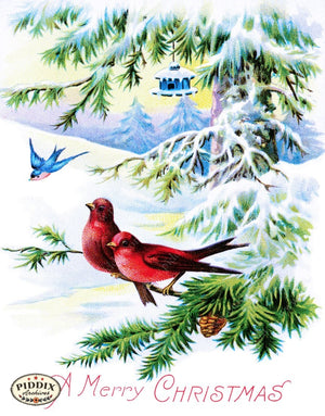 Pdxc10208 -- Christmas Birds Color Illustration