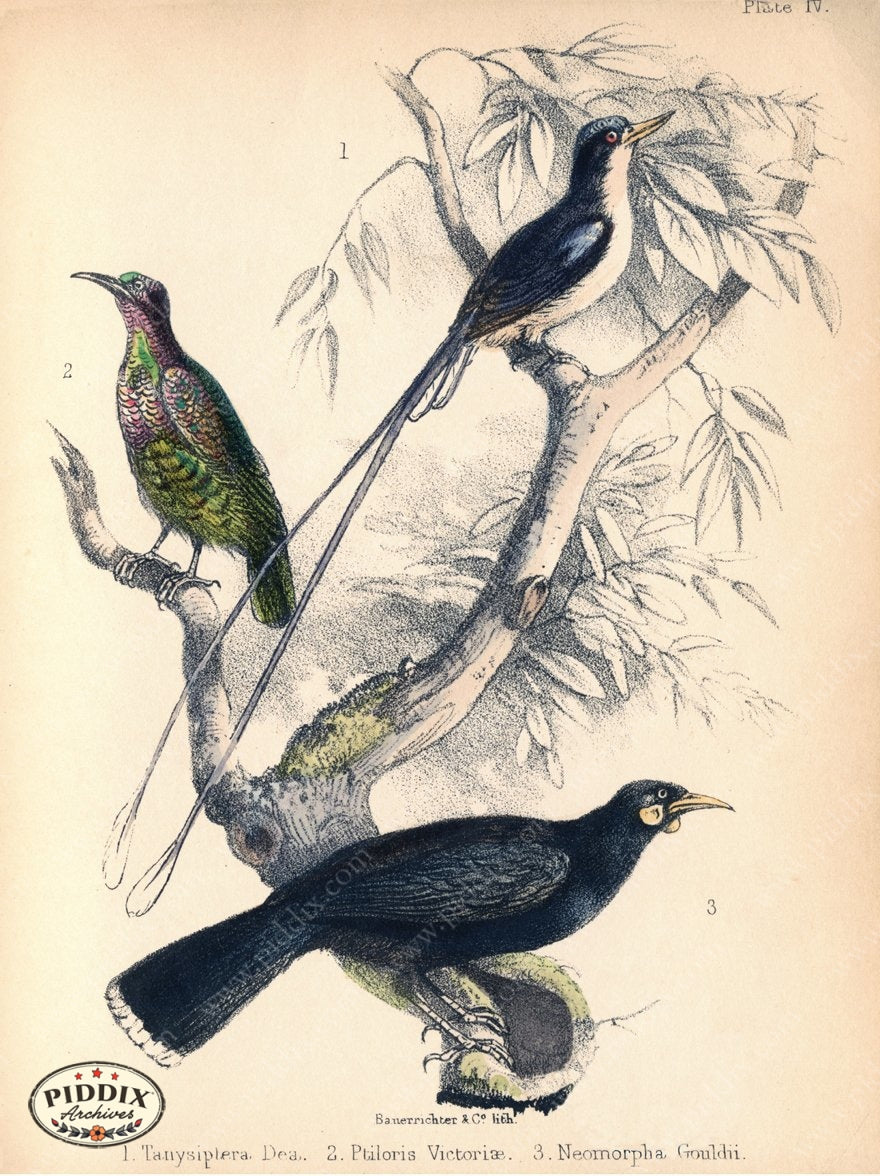 Pdxc10267 -- New For June Color Illustration